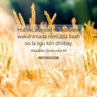 Picture 07 - Efesos 3:2 SOM - Hubaal waxaad maqasheen wakiilnimada nimcada - Bible Verse Picture