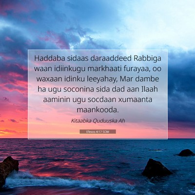 Picture 07 - Efesos 4:17 SOM - Haddaba sidaas daraaddeed Rabbiga waan idiinkugu - Bible Verse Picture