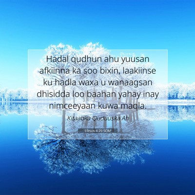 Picture 07 - Efesos 4:29 SOM - Hadal qudhun ahu yuusan afkiinna ka soo bixin, - Bible Verse Picture