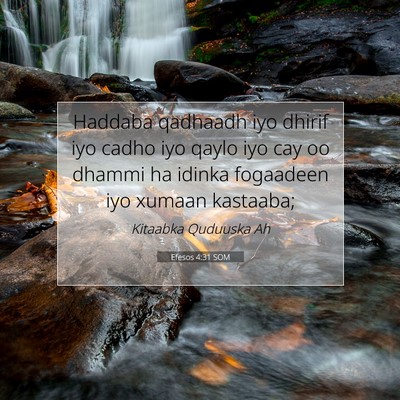 Picture 07 - Efesos 4:31 SOM - Haddaba qadhaadh iyo dhirif iyo cadho iyo qaylo - Bible Verse Picture