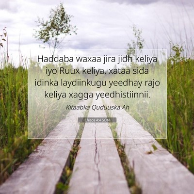 Picture 07 - Efesos 4:4 SOM - Haddaba waxaa jira jidh keliya iyo Ruux keliya, - Bible Verse Picture