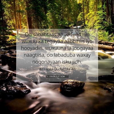 Picture 07 - Efesos 5:31 SOM - Oo sababtaas aawadeed nin wuxuu ka tegayaa - Bible Verse Picture