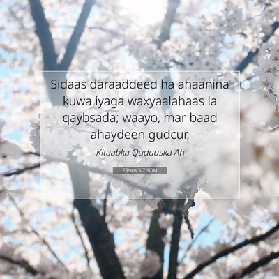 Picture 07 - Efesos 5:7 SOM - Sidaas daraaddeed ha ahaanina kuwa iyaga - Bible Verse Picture