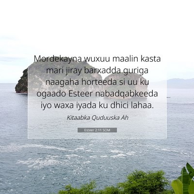 Picture 07 - Esteer 2:11 SOM - Mordekayna wuxuu maalin kasta mari jiray barxadda - Bible Verse Picture