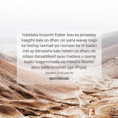 Picture 07 - Esteer 2:17 SOM - Haddaba boqorkii Esteer buu ka jeclaaday naagihii - Bible Verse Picture