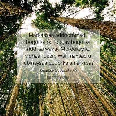 Picture 07 - Esteer 3:3 SOM - Markaasaa addoommadii boqorka oo joogay boqorka - Bible Verse Picture