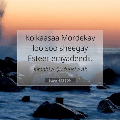 Picture 07 - Esteer 4:12 SOM - Kolkaasaa Mordekay loo soo sheegay Esteer - Bible Verse Picture
