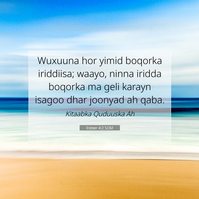 Picture 07 - Esteer 4:2 SOM - Wuxuuna hor yimid boqorka iriddiisa; waayo, ninna - Bible Verse Picture