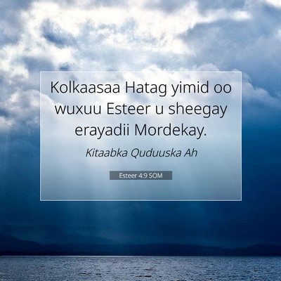 Picture 07 - Esteer 4:9 SOM - Kolkaasaa Hatag yimid oo wuxuu Esteer u sheegay - Bible Verse Picture