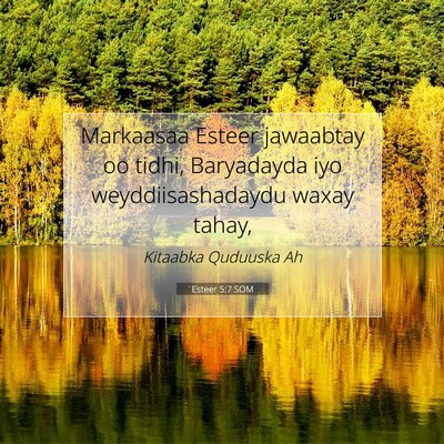Picture 07 - Esteer 5:7 SOM - Markaasaa Esteer jawaabtay oo tidhi, Baryadayda - Bible Verse Picture