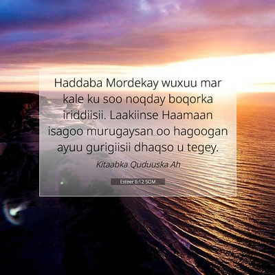 Picture 07 - Esteer 6:12 SOM - Haddaba Mordekay wuxuu mar kale ku soo noqday - Bible Verse Picture