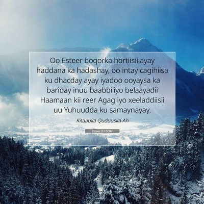 Picture 07 - Esteer 8:3 SOM - Oo Esteer boqorka hortiisii ayay haddana ka - Bible Verse Picture