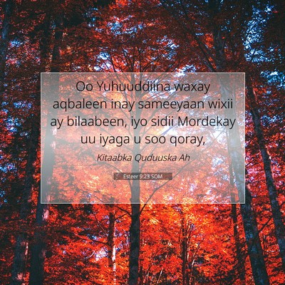 Picture 07 - Esteer 9:23 SOM - Oo Yuhuuddiina waxay aqbaleen inay sameeyaan - Bible Verse Picture