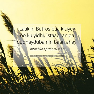 Picture 07 - Falimaha Rasuullada 10:26 SOM - Laakiin Butros baa kiciyey oo ku yidhi, Istaag; - Bible Verse Picture