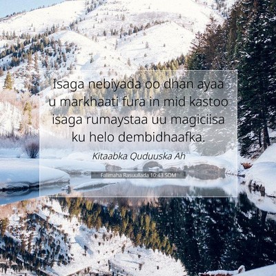 Picture 07 - Falimaha Rasuullada 10:43 SOM - Isaga nebiyada oo dhan ayaa u markhaati fura in - Bible Verse Picture