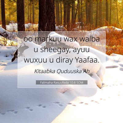 Picture 07 - Falimaha Rasuullada 10:8 SOM - oo markuu wax walba u sheegay, ayuu wuxuu u diray - Bible Verse Picture
