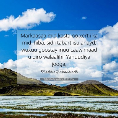 Picture 07 - Falimaha Rasuullada 11:29 SOM - Markaasaa mid kasta oo xertii ka mid ihiba, sidii - Bible Verse Picture