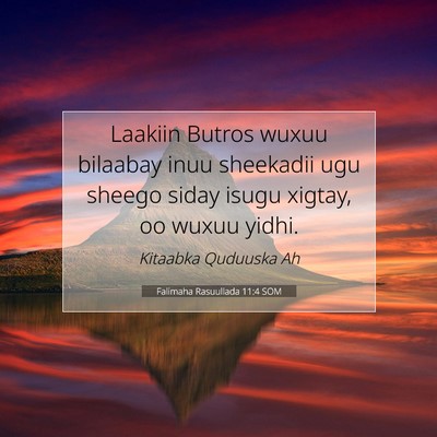 Picture 07 - Falimaha Rasuullada 11:4 SOM - Laakiin Butros wuxuu bilaabay inuu sheekadii ugu - Bible Verse Picture