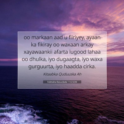 Picture 07 - Falimaha Rasuullada 11:6 SOM - oo markaan aad u fiiriyey, ayaan ka fikiray oo - Bible Verse Picture