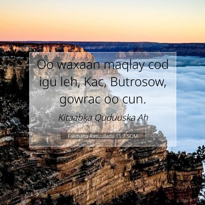 Picture 07 - Falimaha Rasuullada 11:7 SOM - Oo waxaan maqlay cod igu leh, Kac, Butrosow, - Bible Verse Picture