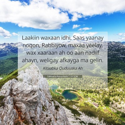 Picture 07 - Falimaha Rasuullada 11:8 SOM - Laakiin waxaan idhi, Saas yaanay noqon, Rabbiyow, - Bible Verse Picture