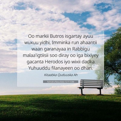 Picture 07 - Falimaha Rasuullada 12:11 SOM - Oo markii Butros isgartay ayuu wuxuu yidhi, - Bible Verse Picture