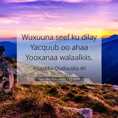 Picture 07 - Falimaha Rasuullada 12:2 SOM - Wuxuuna seef ku dilay Yacquub oo ahaa Yooxanaa - Bible Verse Picture