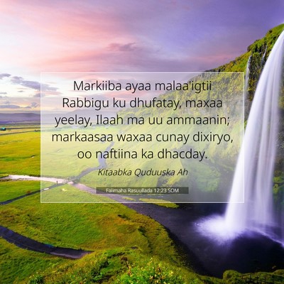 Picture 07 - Falimaha Rasuullada 12:23 SOM - Markiiba ayaa malaa'igtii Rabbigu ku dhufatay, - Bible Verse Picture