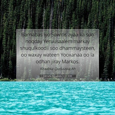 Picture 07 - Falimaha Rasuullada 12:25 SOM - Barnabas iyo Sawlos ayaa ka soo noqday - Bible Verse Picture