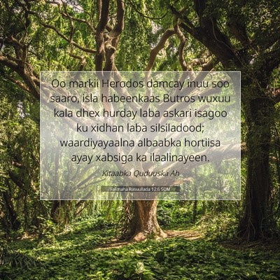 Picture 07 - Falimaha Rasuullada 12:6 SOM - Oo markii Herodos damcay inuu soo saaro, isla - Bible Verse Picture
