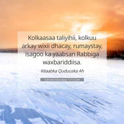 Picture 07 - Falimaha Rasuullada 13:12 SOM - Kolkaasaa taliyihii, kolkuu arkay wixii dhacay, - Bible Verse Picture