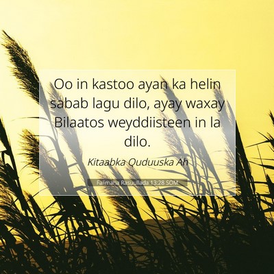 Picture 07 - Falimaha Rasuullada 13:28 SOM - Oo in kastoo ayan ka helin sabab lagu dilo, ayay - Bible Verse Picture
