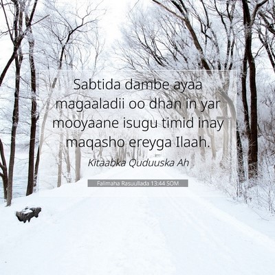 Picture 07 - Falimaha Rasuullada 13:44 SOM - Sabtida dambe ayaa magaaladii oo dhan in yar - Bible Verse Picture