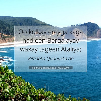 Picture 07 - Falimaha Rasuullada 14:25 SOM - Oo kolkay ereyga kaga hadleen Berga ayay waxay - Bible Verse Picture