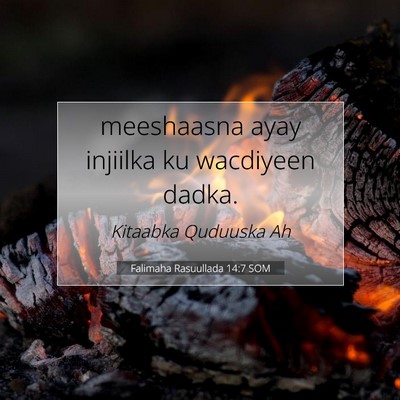 Picture 07 - Falimaha Rasuullada 14:7 SOM - meeshaasna ayay injiilka ku wacdiyeen - Bible Verse Picture