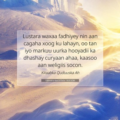Picture 07 - Falimaha Rasuullada 14:8 SOM - Lustara waxaa fadhiyey nin aan cagaha xoog ku - Bible Verse Picture