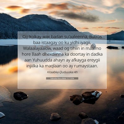 Picture 07 - Falimaha Rasuullada 15:7 SOM - Oo kolkay wax badan su'aaleenna, Butros baa - Bible Verse Picture