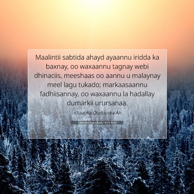 Picture 07 - Falimaha Rasuullada 16:13 SOM - Maalintii sabtida ahayd ayaannu iridda ka baxnay, - Bible Verse Picture