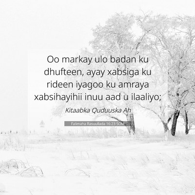 Picture 07 - Falimaha Rasuullada 16:23 SOM - Oo markay ulo badan ku dhufteen, ayay xabsiga ku - Bible Verse Picture
