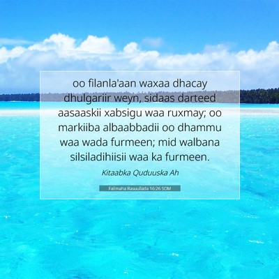 Picture 07 - Falimaha Rasuullada 16:26 SOM - oo filanla'aan waxaa dhacay dhulgariir weyn, - Bible Verse Picture