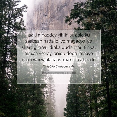 Picture 07 - Falimaha Rasuullada 18:15 SOM - laakiin hadday yihiin su'aalo ku saabsan hadallo - Bible Verse Picture