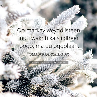 Picture 07 - Falimaha Rasuullada 18:20 SOM - Oo markay weyddiisteen inuu wakhti ka sii dheer - Bible Verse Picture
