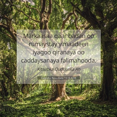 Picture 07 - Falimaha Rasuullada 19:18 SOM - Markaasaa qaar badan oo rumaystay yimaadeen - Bible Verse Picture