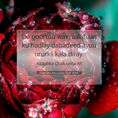 Picture 07 - Falimaha Rasuullada 19:41 SOM - Oo goortuu waxyaalahaas ku hadlay dabadeed ayuu - Bible Verse Picture