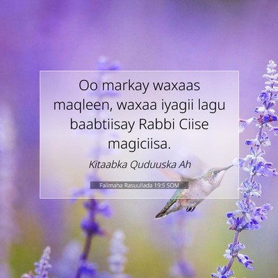 Picture 07 - Falimaha Rasuullada 19:5 SOM - Oo markay waxaas maqleen, waxaa iyagii lagu - Bible Verse Picture