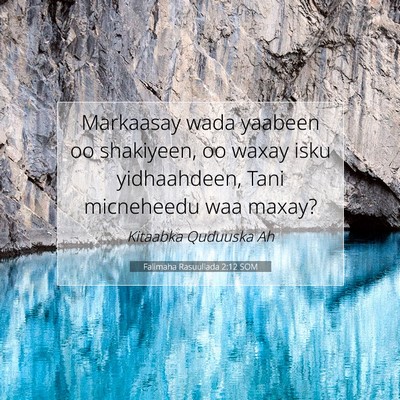 Picture 07 - Falimaha Rasuullada 2:12 SOM - Markaasay wada yaabeen oo shakiyeen, oo waxay - Bible Verse Picture