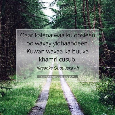 Picture 07 - Falimaha Rasuullada 2:13 SOM - Qaar kalena waa ku qosleen oo waxay yidhaahdeen, - Bible Verse Picture