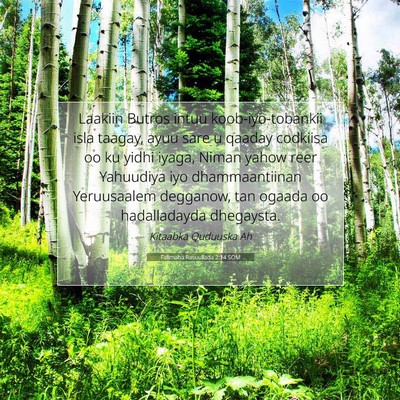 Picture 07 - Falimaha Rasuullada 2:14 SOM - Laakiin Butros intuu koob-iyo-tobankii isla - Bible Verse Picture
