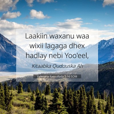 Picture 07 - Falimaha Rasuullada 2:16 SOM - Laakiin waxanu waa wixii lagaga dhex hadlay nebi - Bible Verse Picture