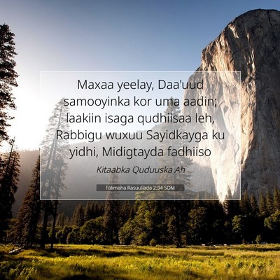 Picture 07 - Falimaha Rasuullada 2:34 SOM - Maxaa yeelay, Daa'uud samooyinka kor uma aadin; - Bible Verse Picture